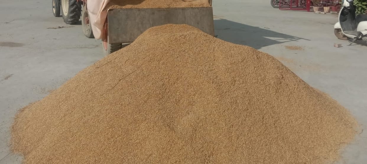 27 thousand metric tonnes of paddy will be purchased at 11 centres in the state