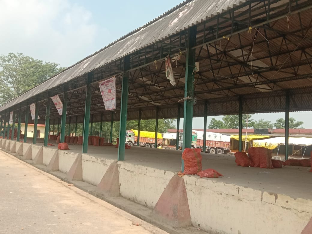 Paddy procurement begins today amidst half-hearted preparations