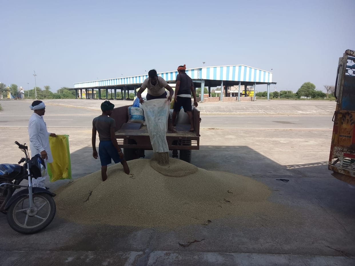 Farmers did not reach Narnaul and Mahendragarh mandis, 17566.4 quintals of millet arrived in Ateli.