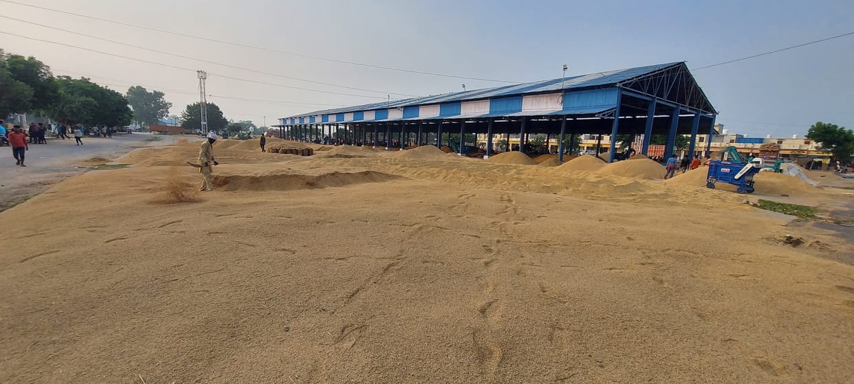 Hathras Deputy RMO salary stopped due to negligence in paddy procurement