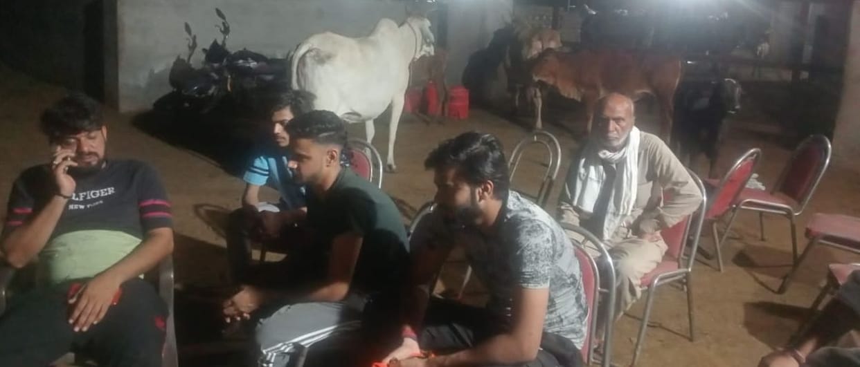 Last year 32 cows died