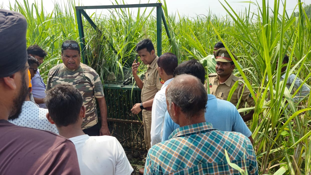 Villagers changed their route due to fear of tiger