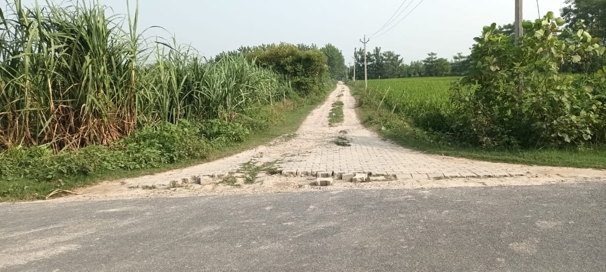 Roads will be built to connect 29 villages to the main road