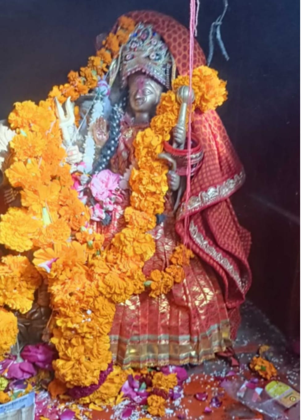 More than ten thousand devotees offered obeisance at Maa Purnagiri Dham.