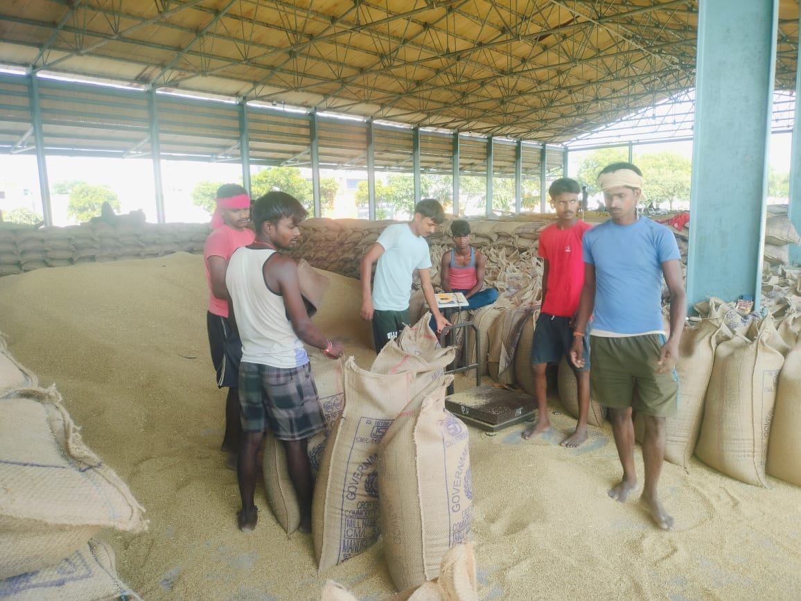 There will be no purchase of millet today and tomorrow due to assembly elections