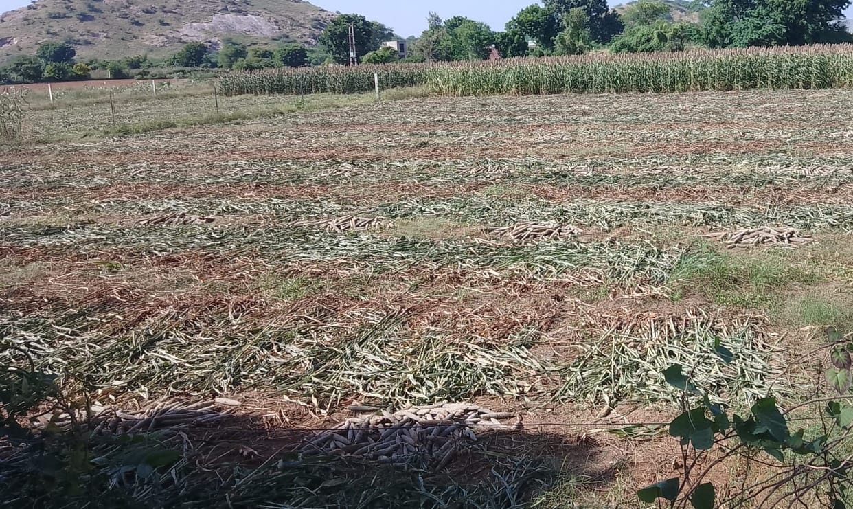 soil testing in aligarh