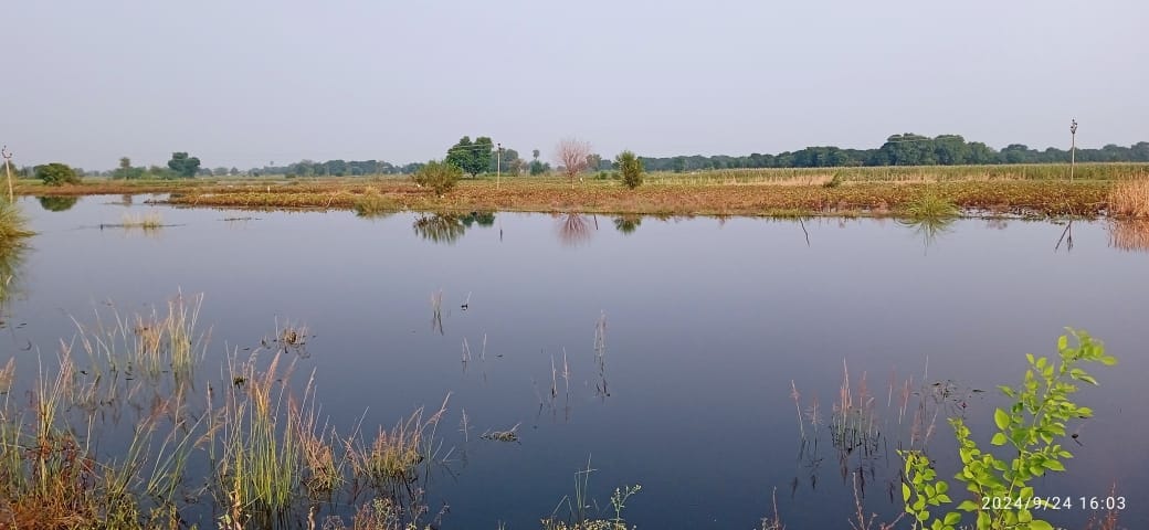 Ishan river left a trail of destruction, crops of 4100 farmers destroyed