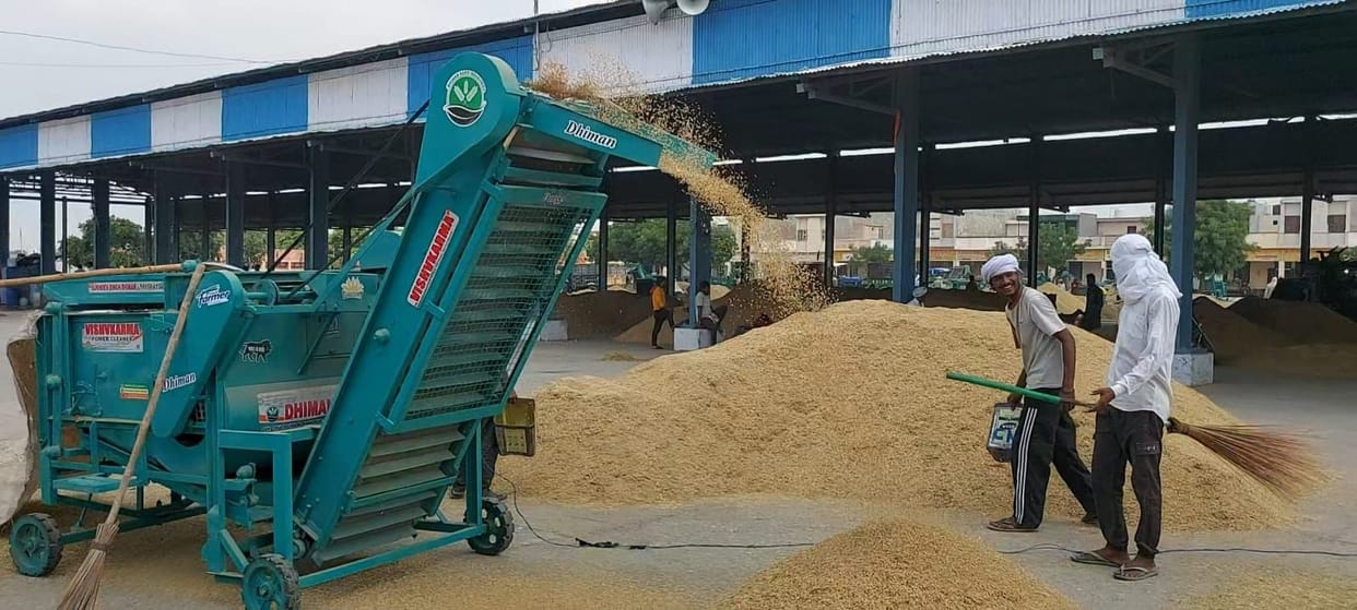 Arrival of paddy increased, purchase was negligible