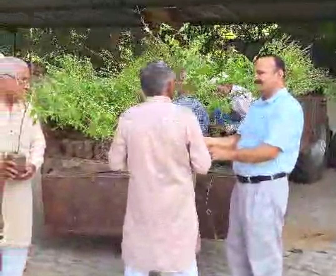 Plants were presented to the people after voting
