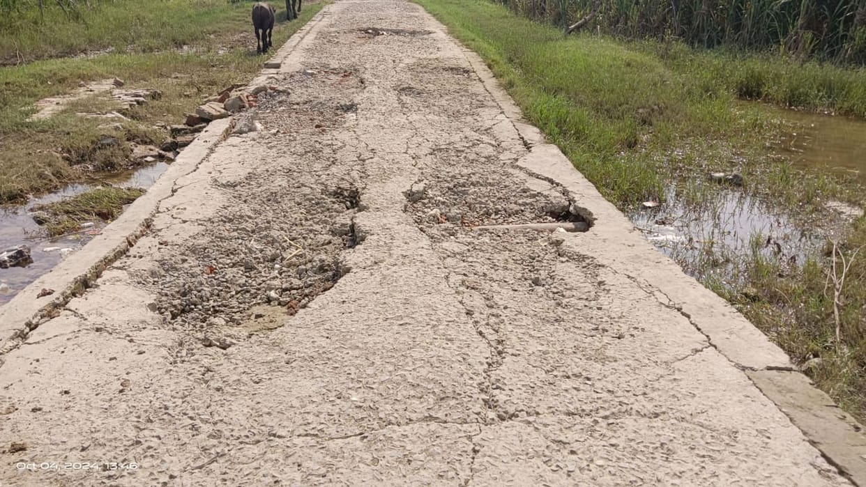 Terai roads got washed away in flood, causing problems in transportation