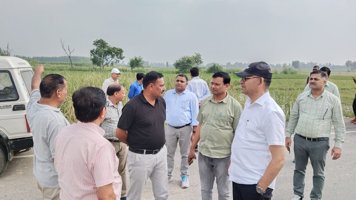 Inspection of sugarcane crop damaged by flood