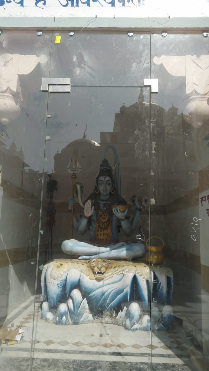 Bees sitting on Prasad will no longer bite the devotees in Bajreshwari Temple, Kangra.