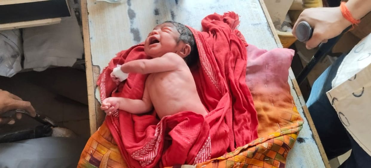 Newborn found in bushes along the highway