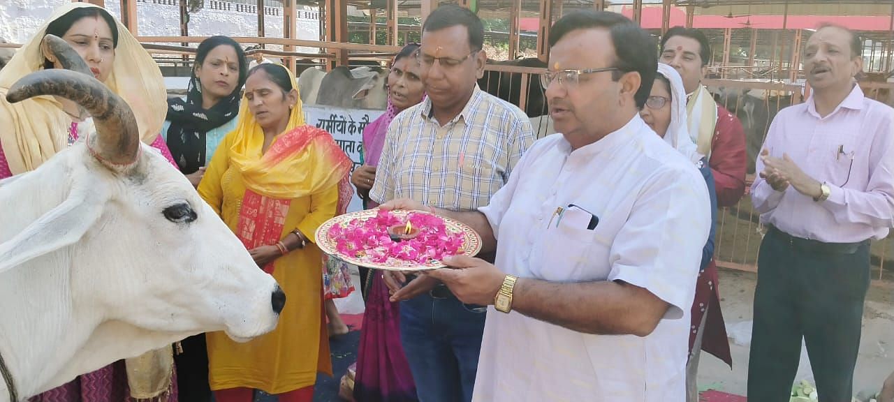 Wishes are fulfilled by serving mother cow