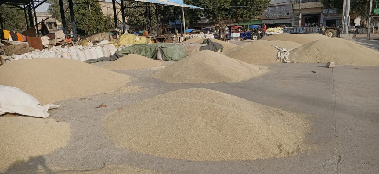 Millet will be procured from today in Rewari, Bawal and Kosli grain markets.