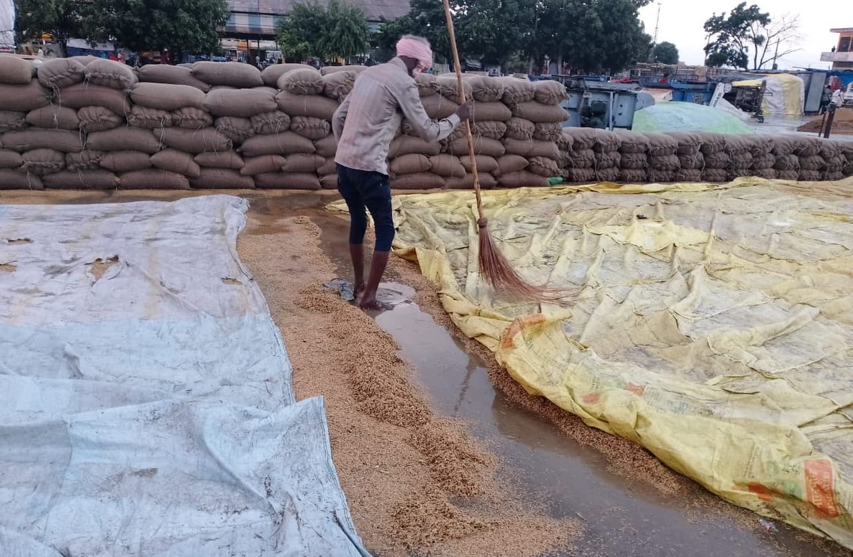 Farmers angry due to non purchase of paddy blocked the highway, crop drenched due to rain
