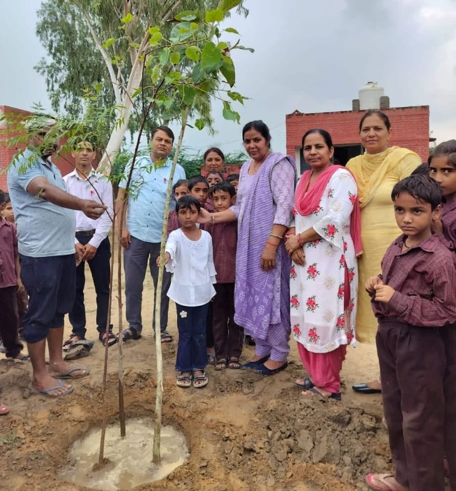 Triveni planted in the gymnasium