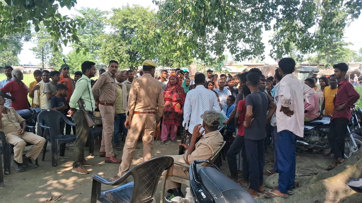 Tiger attacks woman, seriously injured