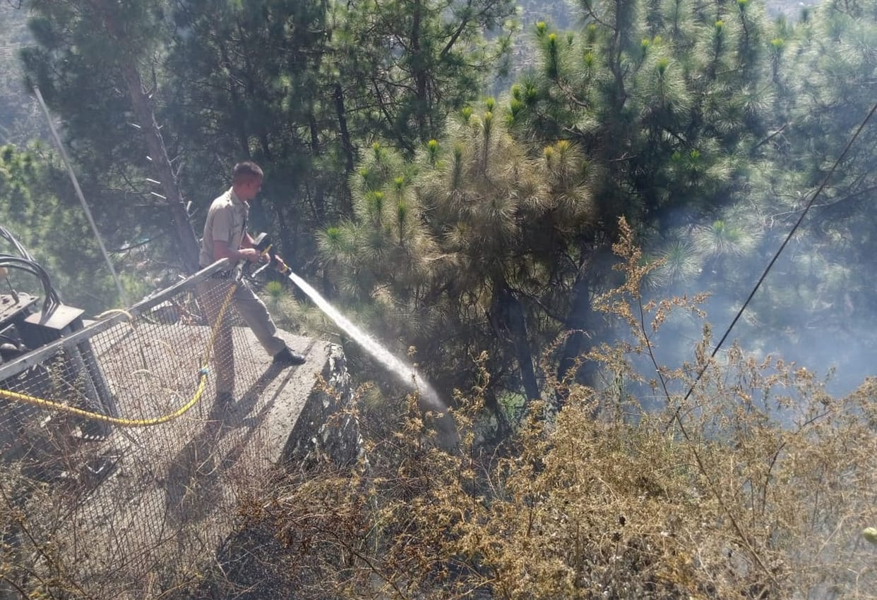 Fire breaks out in Bhanjradu forest, electrical transformer saved from burning