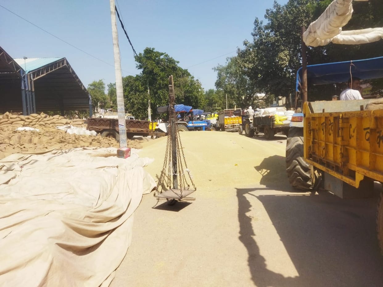 Arrival of millet increased in grain market