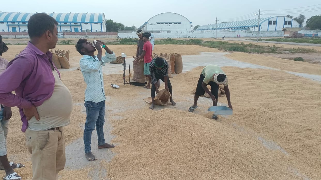 Accused of harvesting up to 15 kg of paddy in the name of moisture.