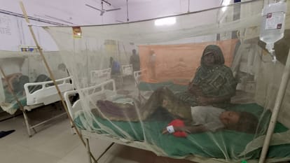 डेंगू वार्ड में भर्ती मरीज।  संवाद
