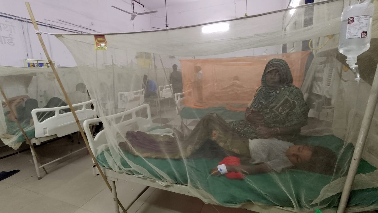 Jammu Kashmir: Kathua in the grip of dengue, 11 new cases reported, 313 positive cases, 134 patients found suf
