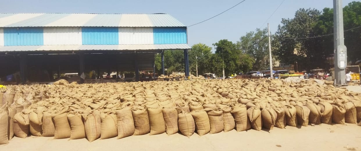 So far 3 lakh 1 thousand 262 quintals of millet has been purchased in the markets.
