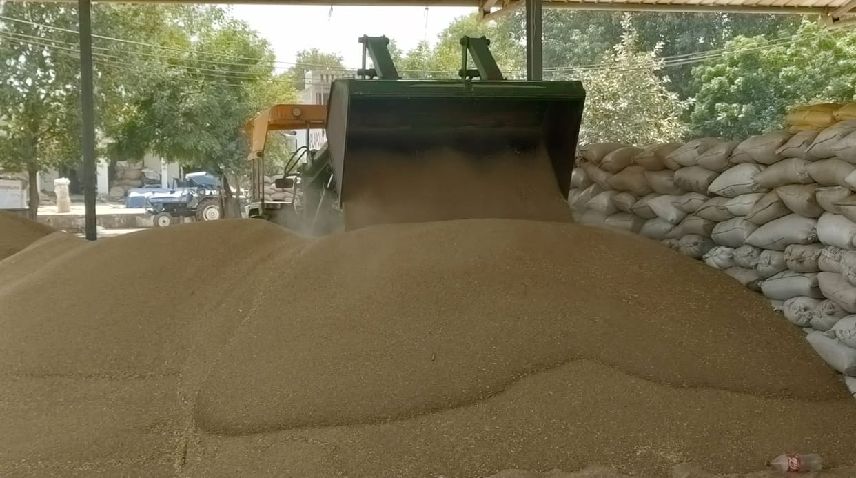 464 farmers got gate passes cut, 12,484 quintals of millet arrived