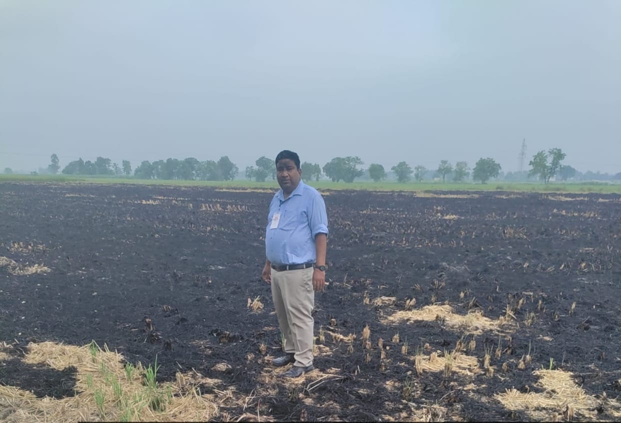 Crop remains burnt at 6 places, farmers fined Rs 12500