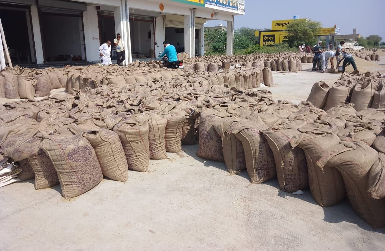 Procurement process slow, market full of millet