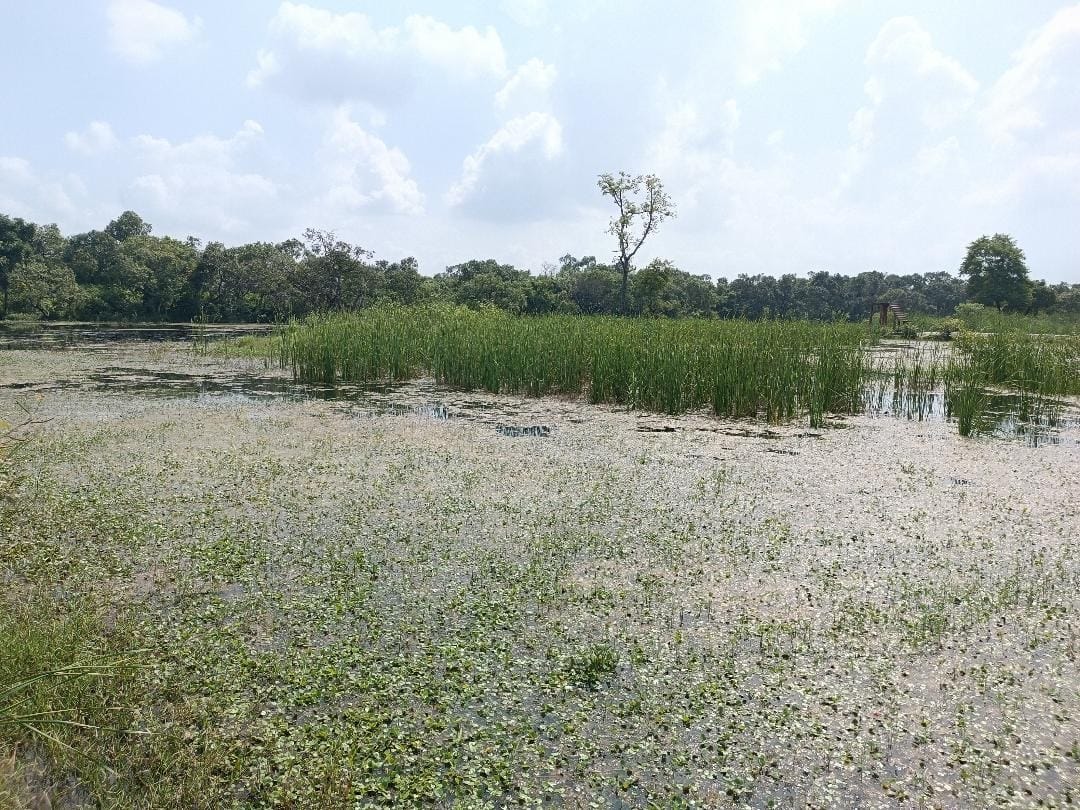 Lack of facilities at Darjinia Tal, stopping tourists from taking steps