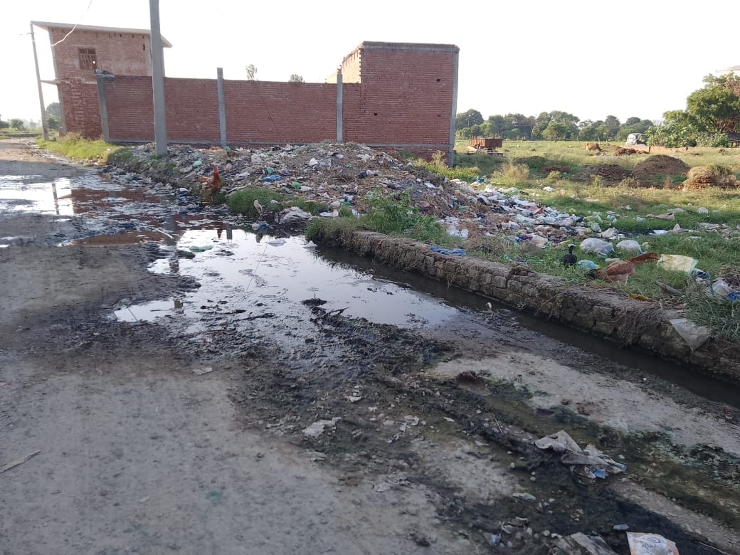 Manauna village is burning with fever, fever patients in every house