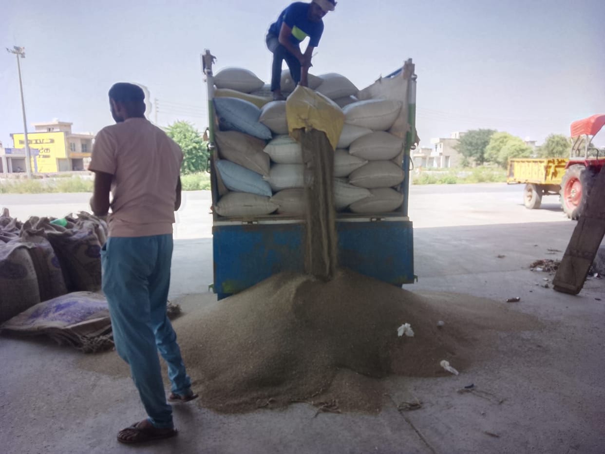 So far 68480 quintals of millet have been purchased and 39340 quintals of millet has been lifted in Narnaul.