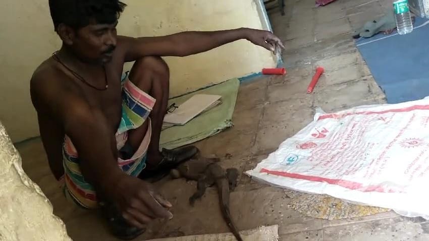 Damoh A cave entered the Anganwadi center, children got scared, there was chaos