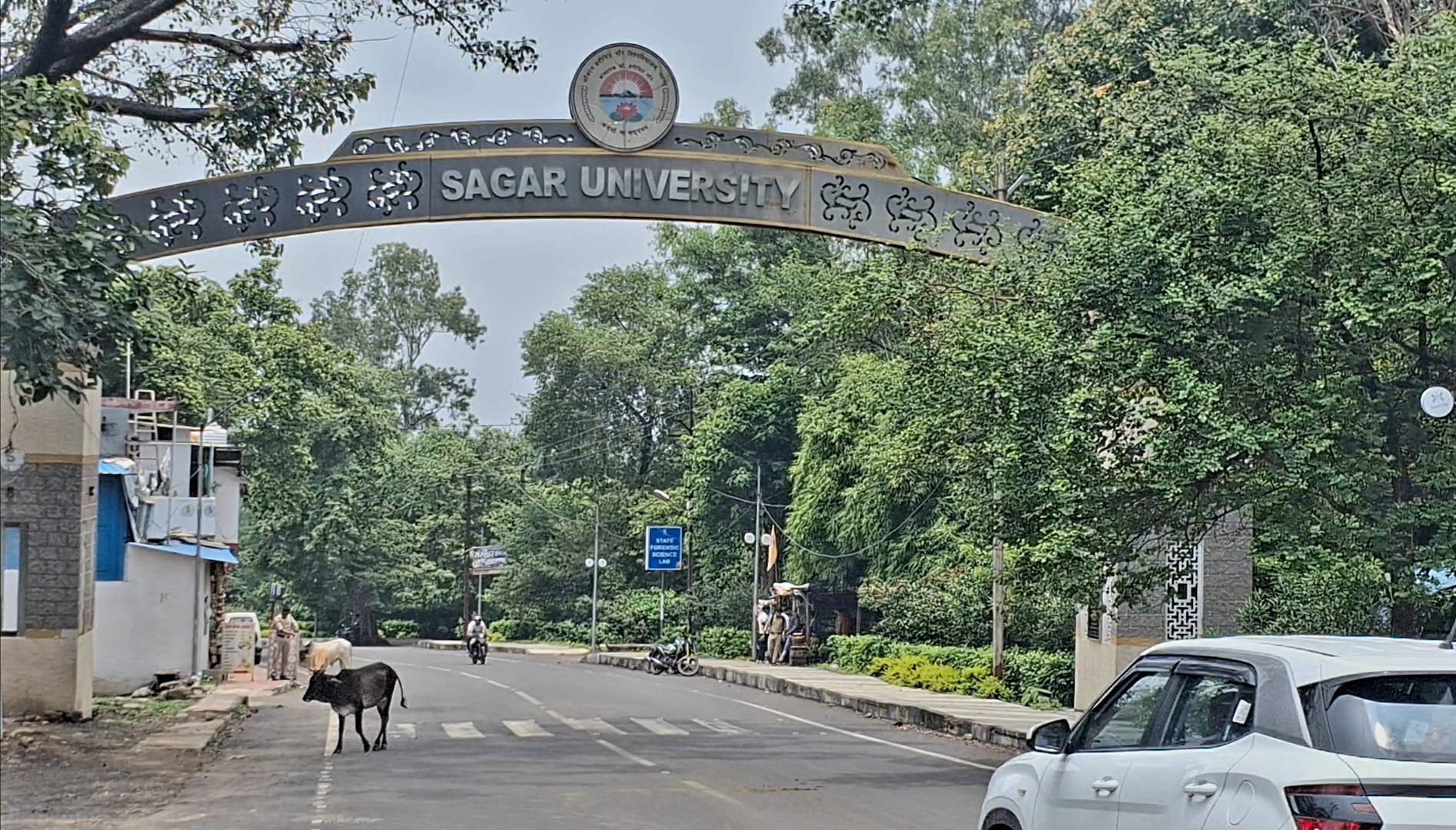 सागर विश्वविद्यालय