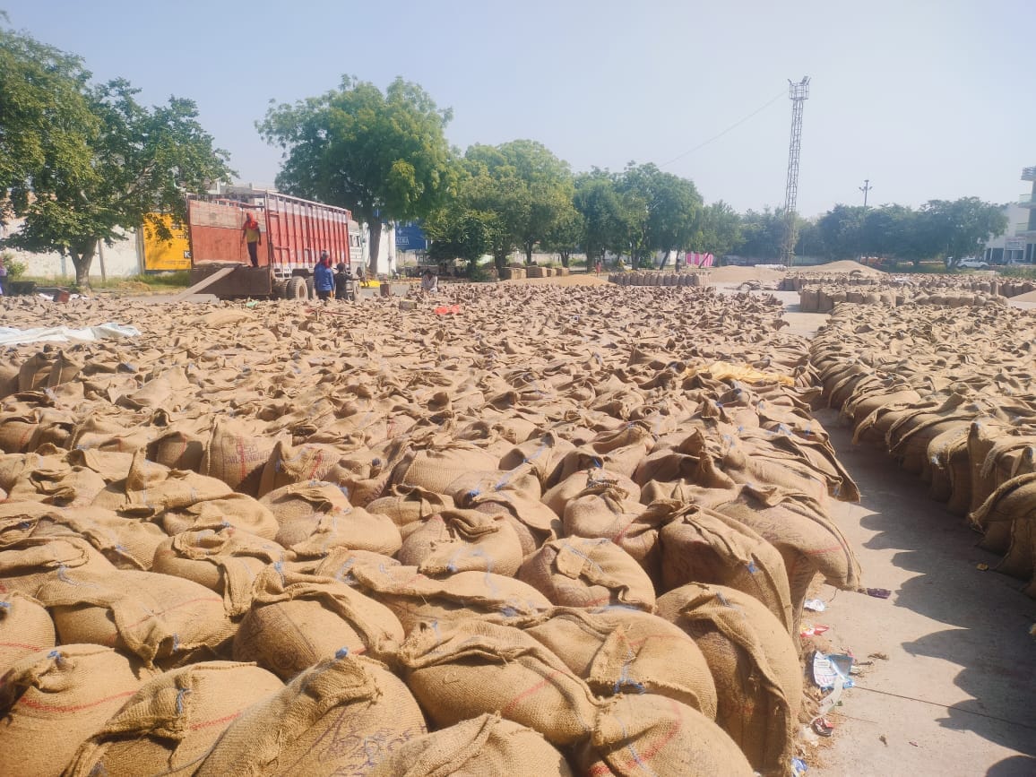 207460 quintals of millet reached the markets