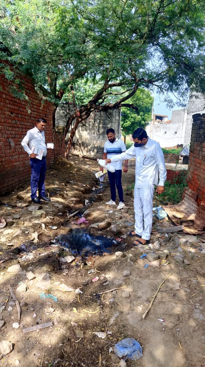 Four new cases of dengue found in Bahadurgarh, figure reaches 44