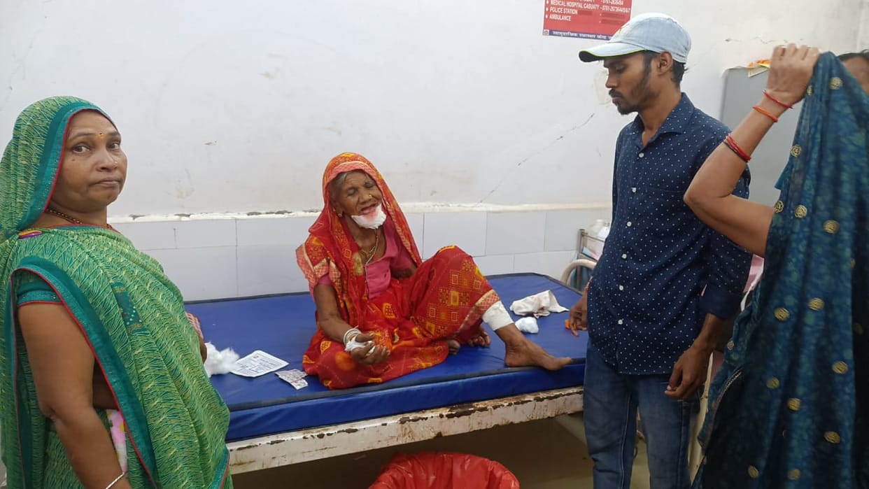 Damoh News : Mad jackal entered the house and attacked, four people including two women injured
