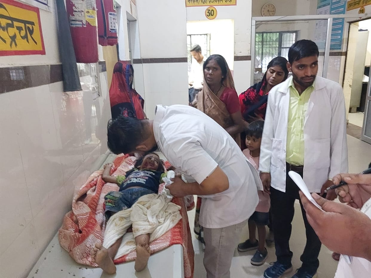 A jackal entered the residential area and injured four people including an innocent child