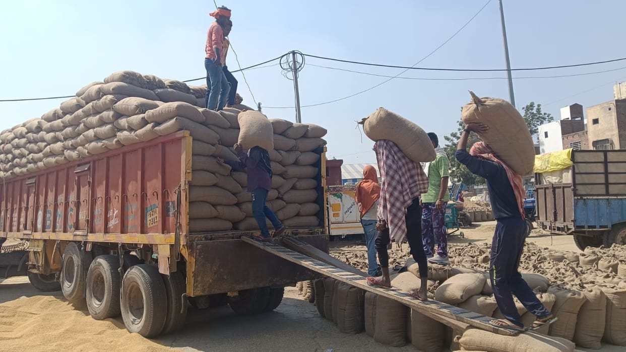 Paddy crop lifting slowed down in the grain markets of the district, payment to farmers stuck
