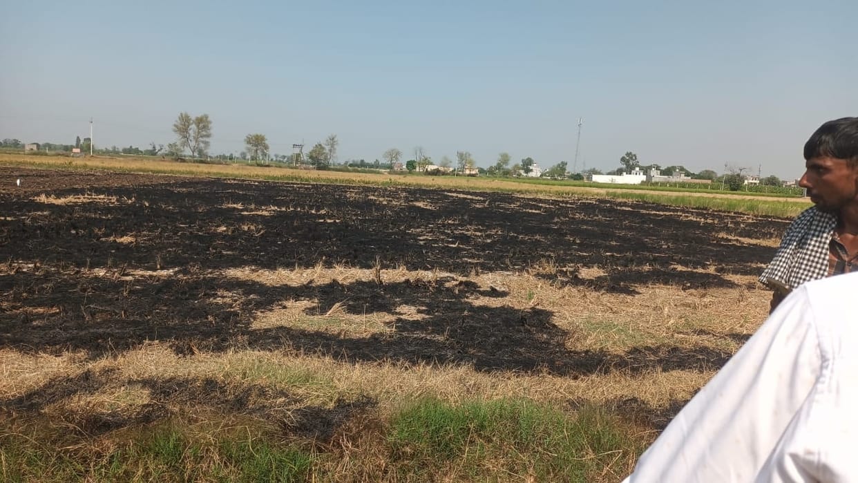 Crop remains were burnt at 20 places in the district, Agriculture Department imposed a fine of Rs 30 thousand