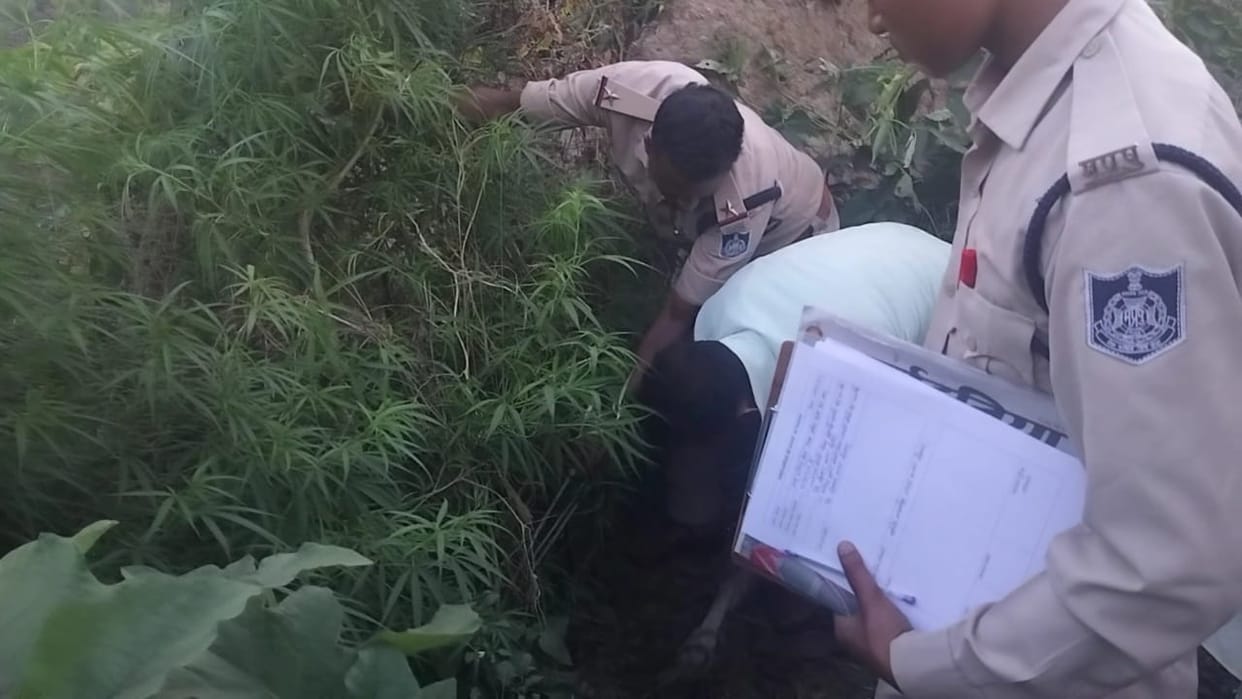Accused of cultivating ganja arrested, Indwar police took action
