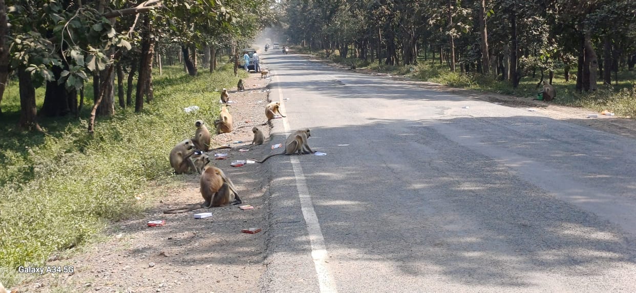 Damoh news road width of Jabalpur Damoh road will not increase for five years