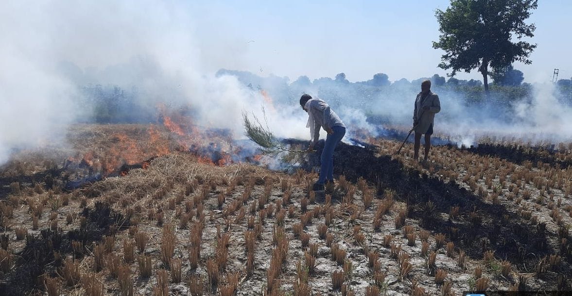 Stubble burnt at 42 places in 13 days