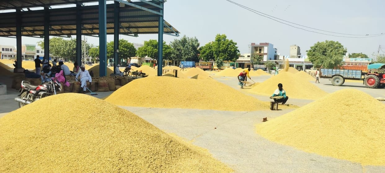 Payment of Rs 1.59 billion for purchased PR paddy stuck
