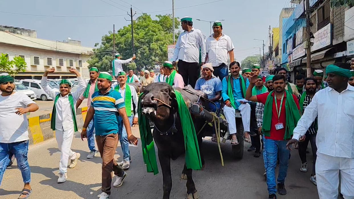 Farmers took out buffalo-buggy rally for loan waiver, demonstrated