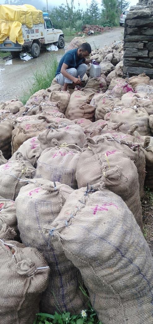 This time only 15 thousand apple bags reached HPMC procurement centers