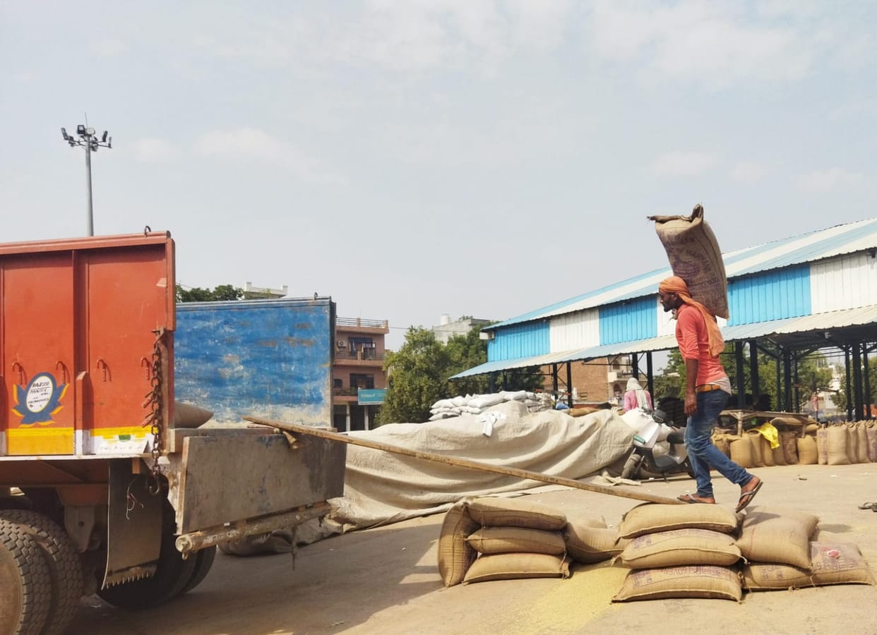 43 thousand quintals of millet lifted in three grain markets
