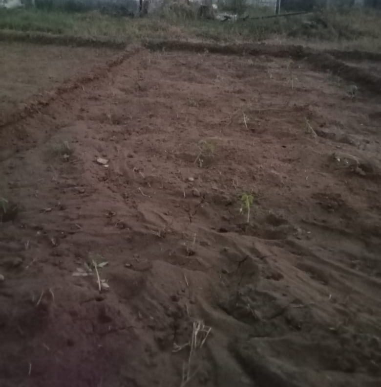 Getting subsidy for growing vegetables, farmers should submit documents soon
